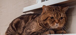 В Киеве начали отключать дома от отопления