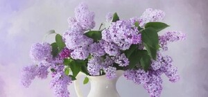 Фотофакт: в Никитском ботсаду уже зацвела сирень