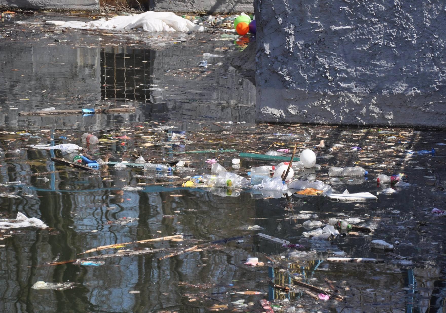 Новость - События - Фотофакт: озеро в парке "Орлятко" превратили в мусорную свалку
