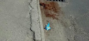 Киевлян возмутила кондуктор, которая выбросила мусор из автобуса на проезжую часть