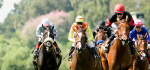 Оседлай скакуна: на Полтавщине проведут ежегодные конные скачки