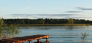 Більше не чухатимешся: у Львові труїтимуть комарів