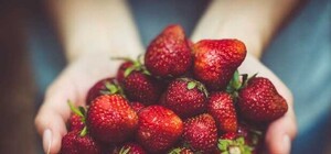 Фотофакт: сколько стоит клубника на рынках Симферополя