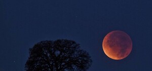 Найдовше у 21 столітті: цього тижня відбудеться рекордне місячне затемнення