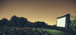 Бери плед и приходи: в Соломенском парке по ночам будут бесплатно показывать кино