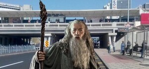 Он пытался пройти: в Киеве тягач с экскаватором врезался в путепровод