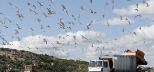 Новини з полігону: на Грибовицькому сміттєзвалищі облаштовують 15 свердловин для біогазу