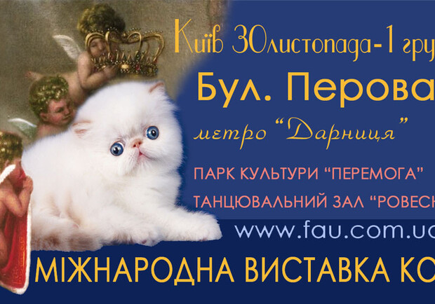Афиша - Выставки - Международный Чемпионат Породистых Кошек