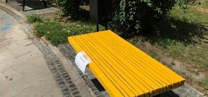 Зато красиво: коммунальщики покрасили дизайнерские лавочки в столичном парке