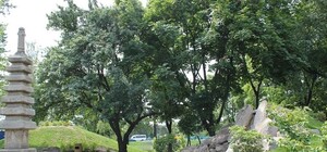 Сходи, погуляй: как выглядит парк 