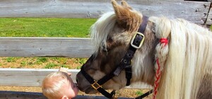 Своди малого: на ипподроме будут бесплатно катать детей на лошадях