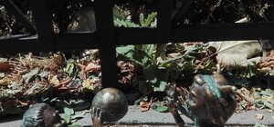 Фотофакт: в центре Симферополя пропали две бронзовые пчелки