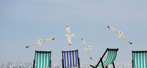 Отдыхай на берегу: в Харькове обновили 