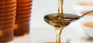 Массовая гибель пчел под Харьковом: что будет с ценами на мед