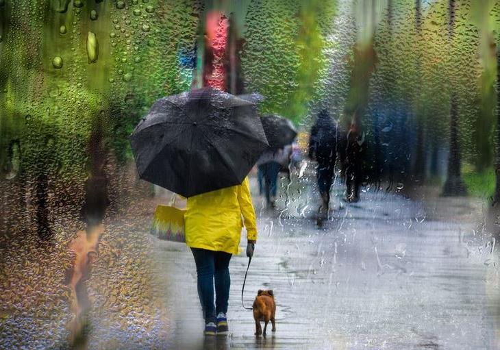 Новость - События - Сегодня в Киеве ожидается сильный дождь и шквальный ветер