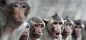 Помогите найти: в Киеве разыскивают группу 