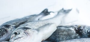 Ботулизм в Харькове: что будет с магазином, где торговали зараженной рыбой