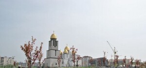 Прихопи рукавички: львів’ян кличуть на толоку у парк