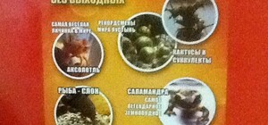 Выставка живых рекордов Гиннеса