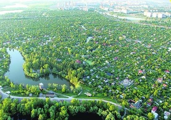 Новость - События - В Киеве горят Русановские сады