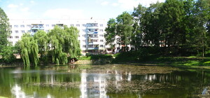 Запустять рибок: у Львові очистять водойми у парку 