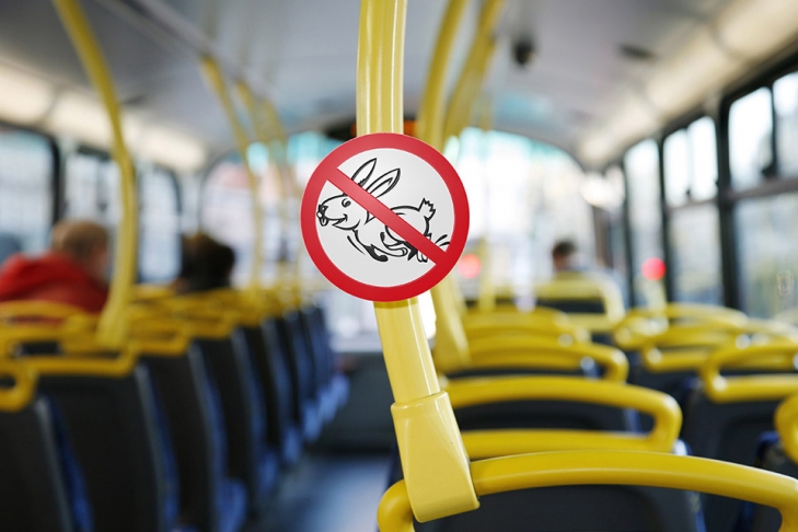 Новость - События - Некого ловить: в киевском общественном транспорте стало меньше "зайцев"