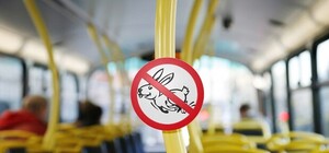 Некого ловить: в киевском общественном транспорте стало меньше 