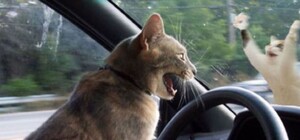 Наконец: появились схемы объезда ремонтируемых улиц в Симферополе