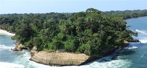 Осторожно с экзотикой: харьковчанин 