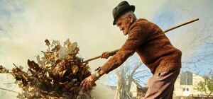 Как бороться с соседями, которые сжигают сухие листья: план действий