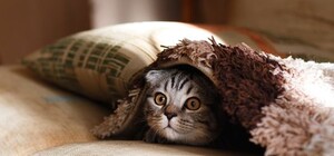 Не унывай: смотри, когда в Днепр вернется 