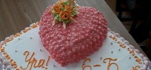 Решили хайпануть: депутаты пригласили обиженную Диану из Харькова поесть торт в Верховной Раде