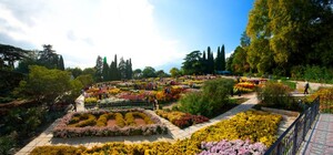 Все в сад! Пенсионеры смогут бесплатно посетить выставку хризантем