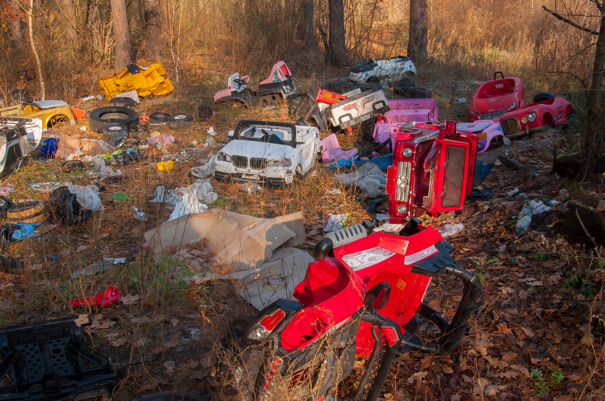 Новость - События - В лесу под Ирпенем нашли кладбище игрушечных автомобилей