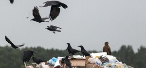 Ответочка прилетела: на Печерске возмущенные киевляне завалили мусором двери ЖЭКа