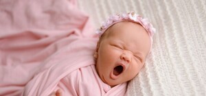 Лелека поплутав: у львівському 