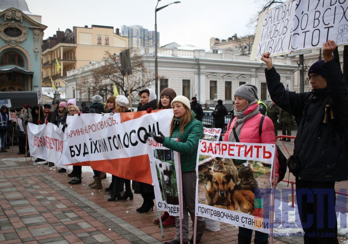 Новость - События - Под Верховной Радой митингуют зоозащитники: чего хотят