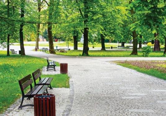 Новость - События - Погуляешь: в парке отдыха "Сырецкий Яр" обустроят пешеходные дорожки
