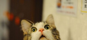 Немного перепутали: на экране столичной автостанции заметили 