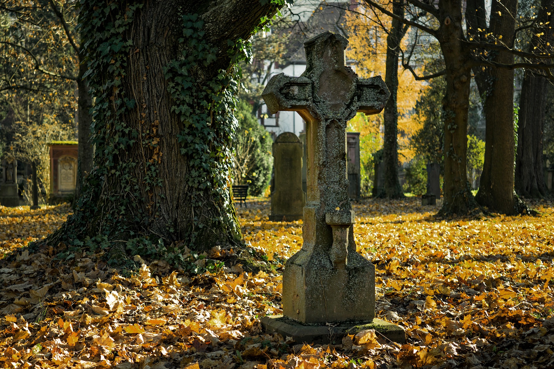 Аллею перезахоронений возведут на Лукьяновском кладбище / pixabay