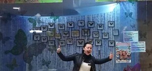 Мир бабочек