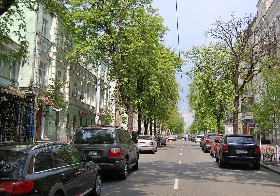 В центре Киева одну из улиц очистили от рекламы. Фото: Википедия