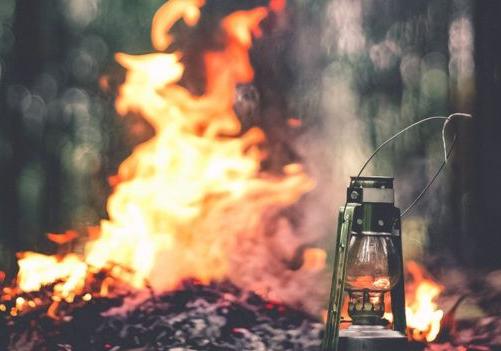 В Киеве за самовольное сжигание листьев будут штрафовать