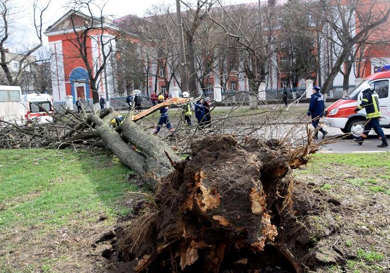 Ветер в Украине сорвал больше 300 крыш. Фото: ГСЧС