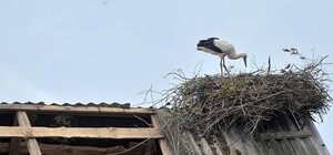 Ветер постарался: на европейской площади отвалился кусок крыши