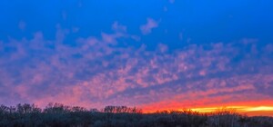 Полюбуйся: как выглядит Хортица в снежном марте (фото)