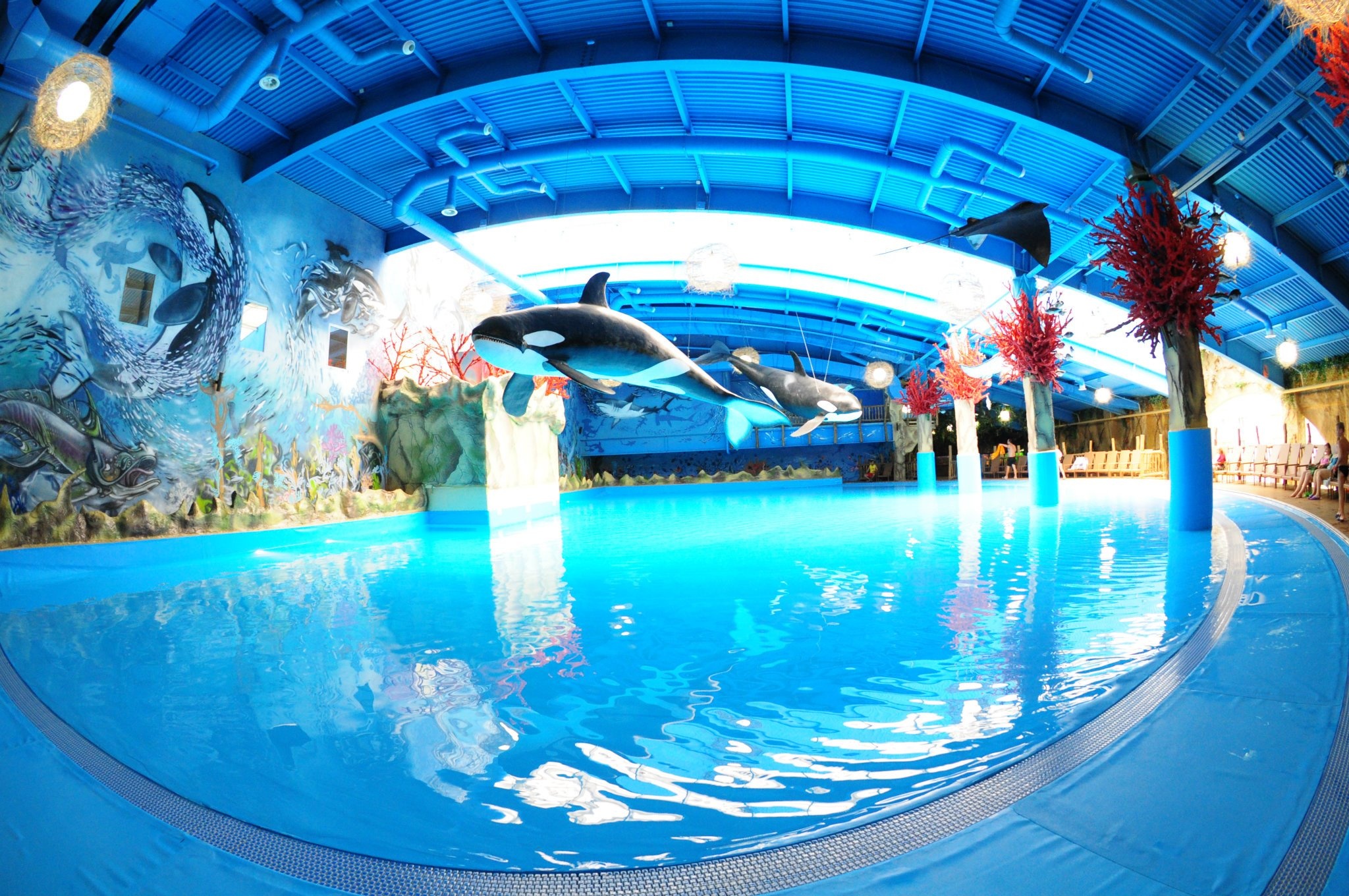 Новость - События - Успей поплавать: аквапарк в Dream Town закроется позже, чем планировалось