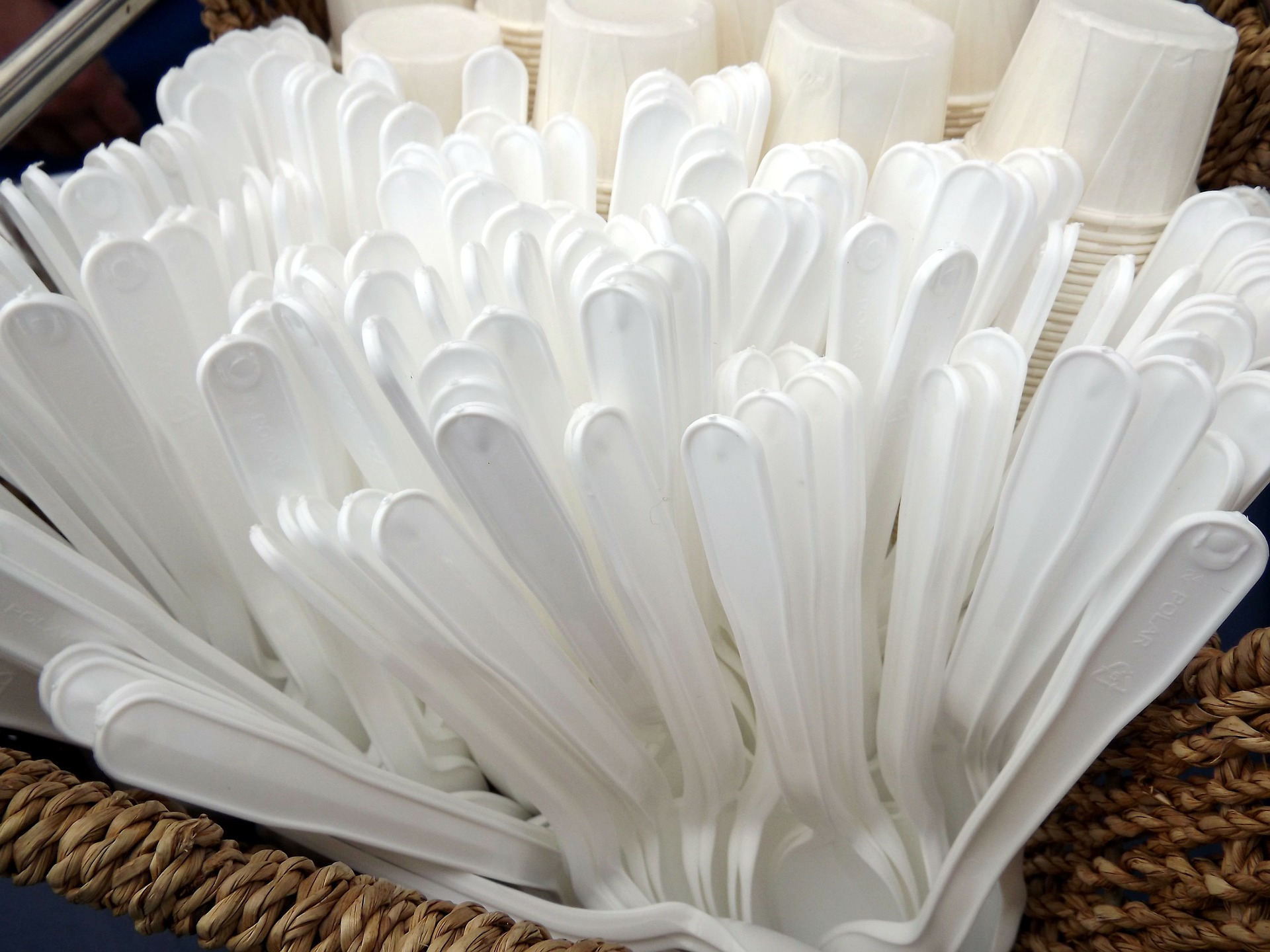 В ЕС перестанут использовать одноразовую пластиковую посуду / pixabay