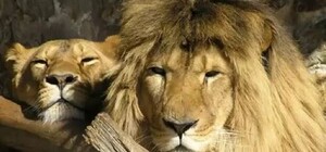 После ЧП с туристкой в 