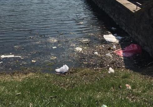 Новость - События - Фотофакт: на Теремках озеро с дикими утками превращают в мусорную свалку